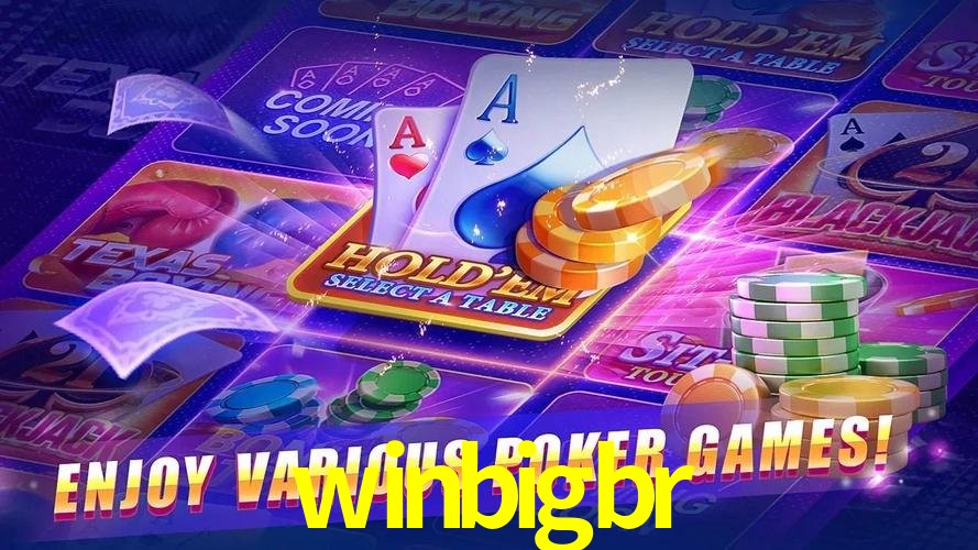 Tecnologia da Plataforma winbigbr