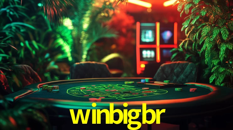 winbigbr App Interface