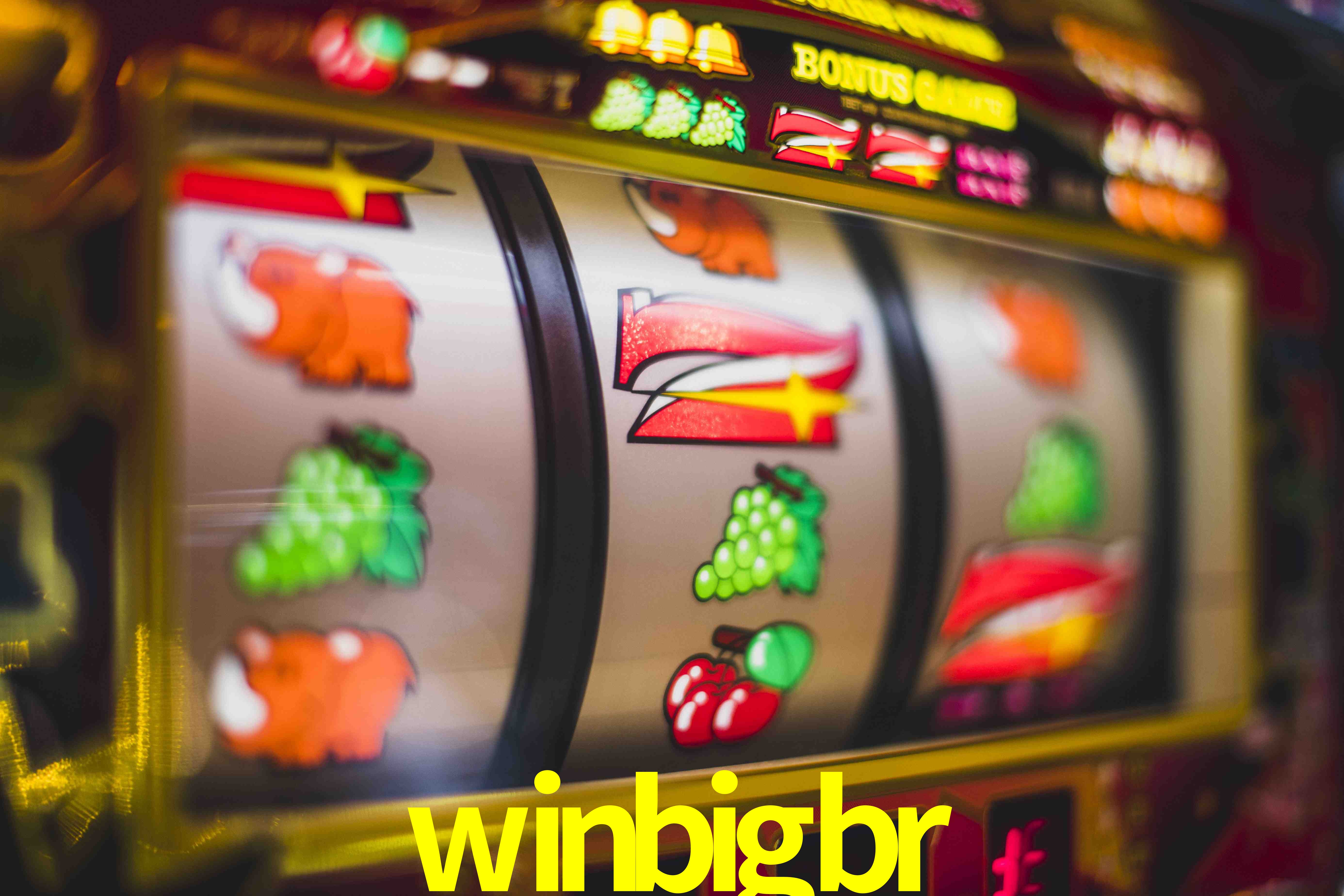 Live Casino winbigbr