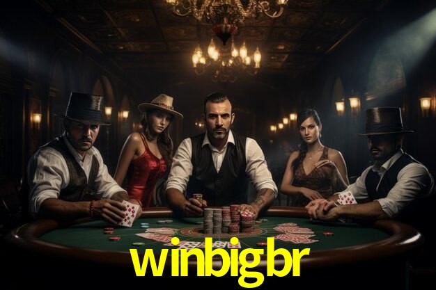 Sistemas de Segurança winbigbr