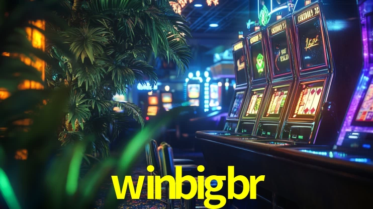 Premium Interface winbigbr